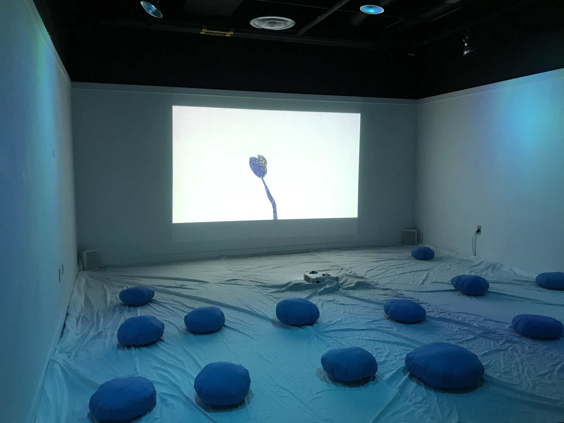 The Beauty installation view 1